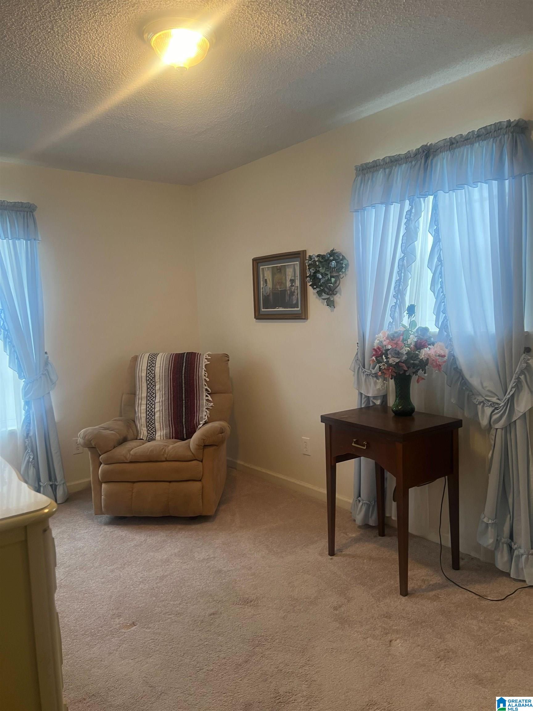 841 St Mary Road Gordon, AL 36343 - Photo 10 of 13