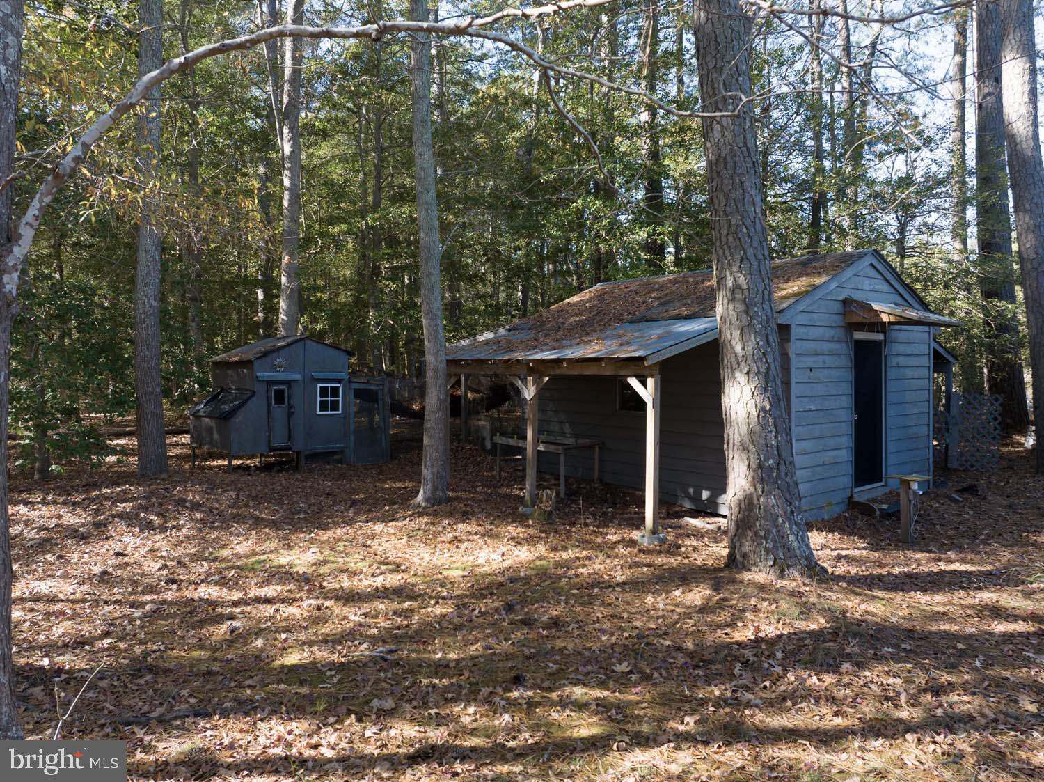 310 Brush Neck Road Susan, VA 23163 - Photo 40 of 66 a view of a house with backyard