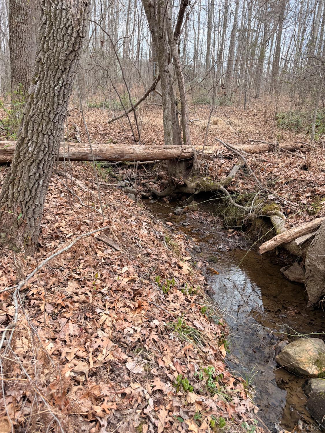 0 Howards Manor Drive Rustburg, VA 24588 - Photo 2 of 9