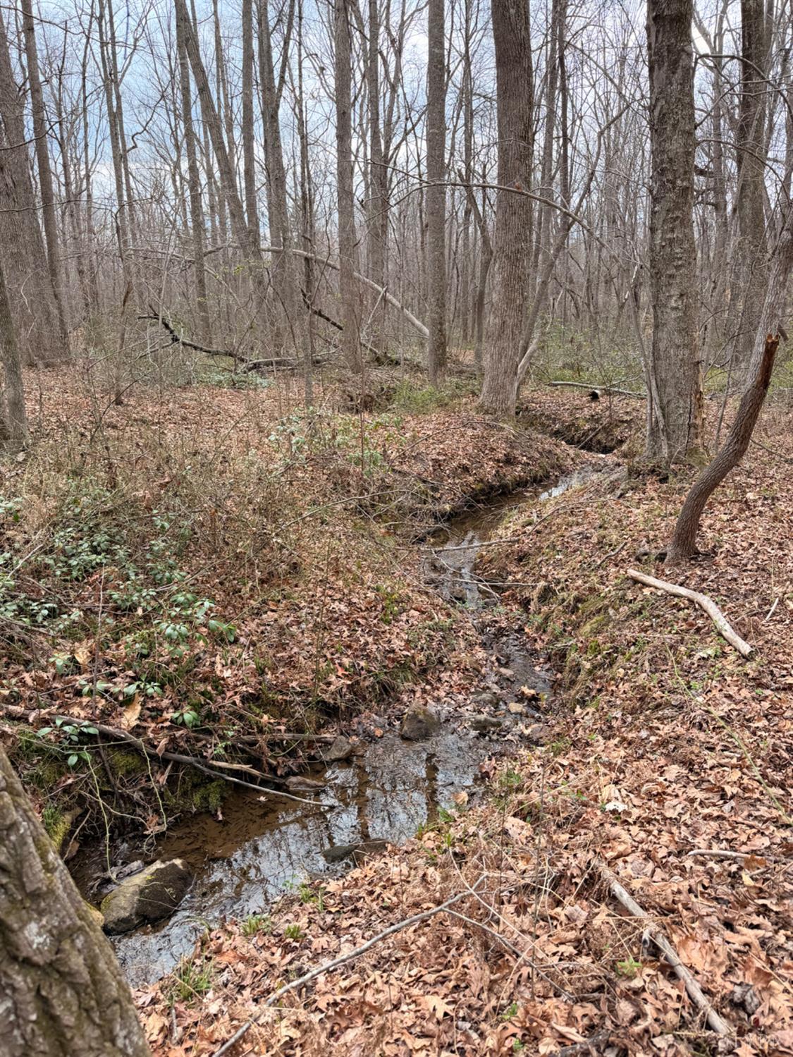 0 Howards Manor Drive Rustburg, VA 24588 - Photo 3 of 9