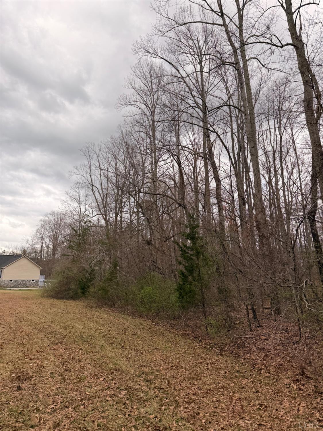 0 Howards Manor Drive Rustburg, VA 24588 - Photo 4 of 9