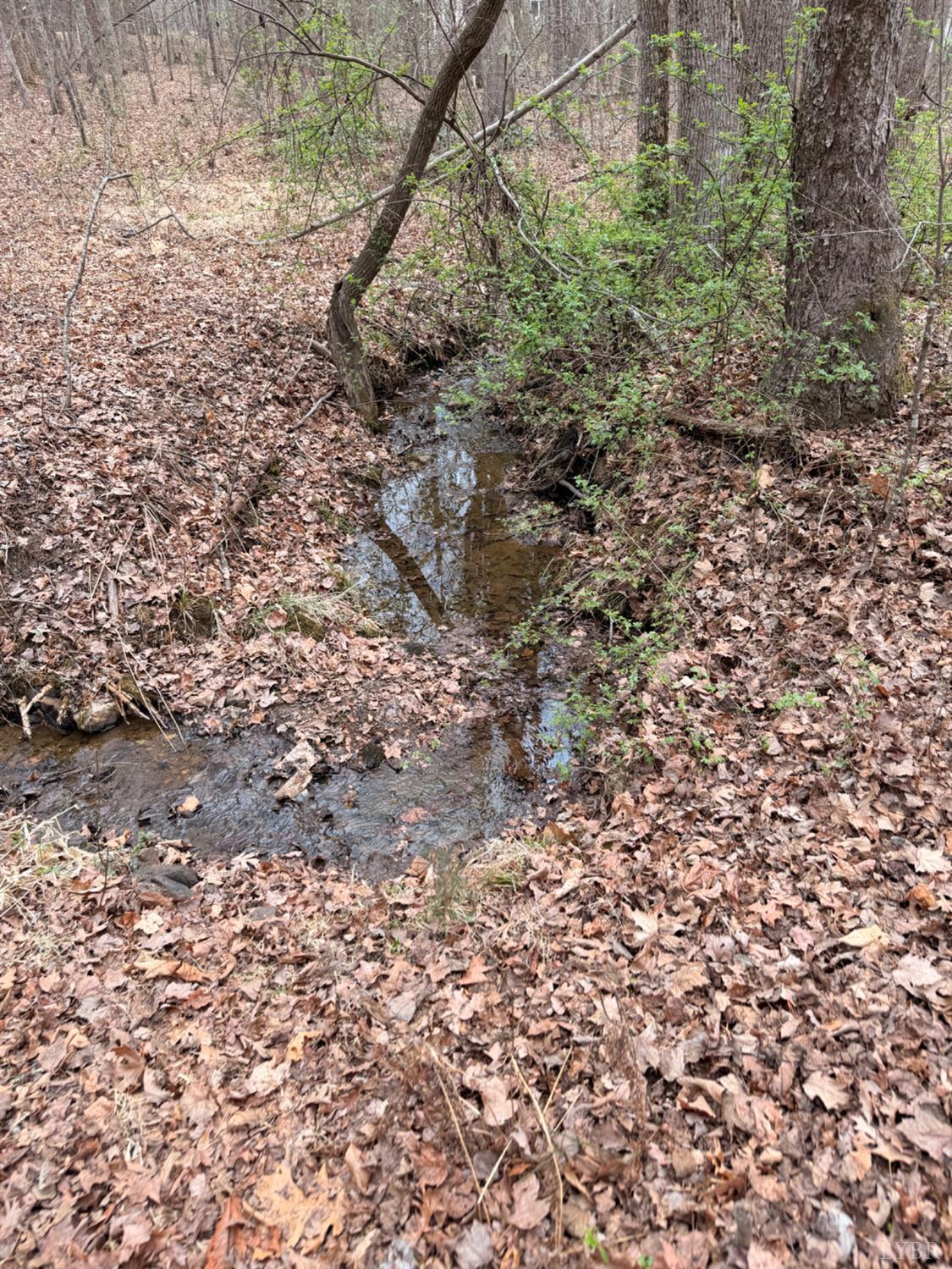 0 Howards Manor Drive Rustburg, VA 24588 - Photo 8 of 9