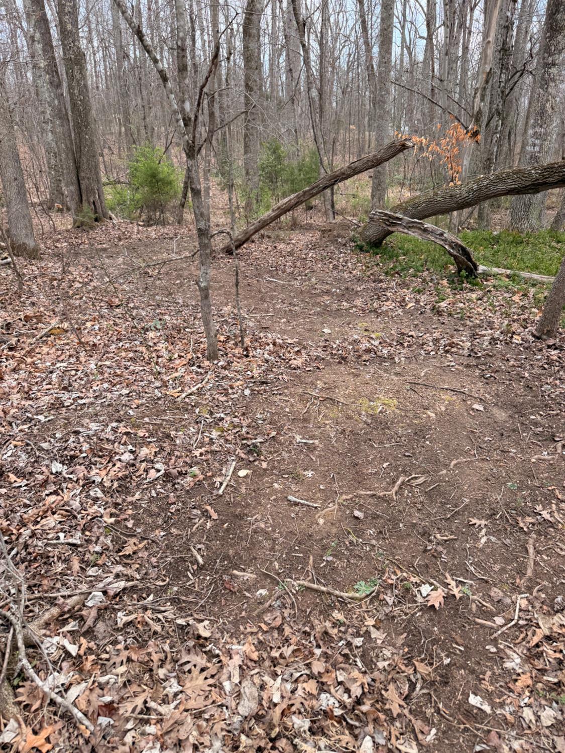 0 Howards Manor Drive Rustburg, VA 24588 - Photo 9 of 9