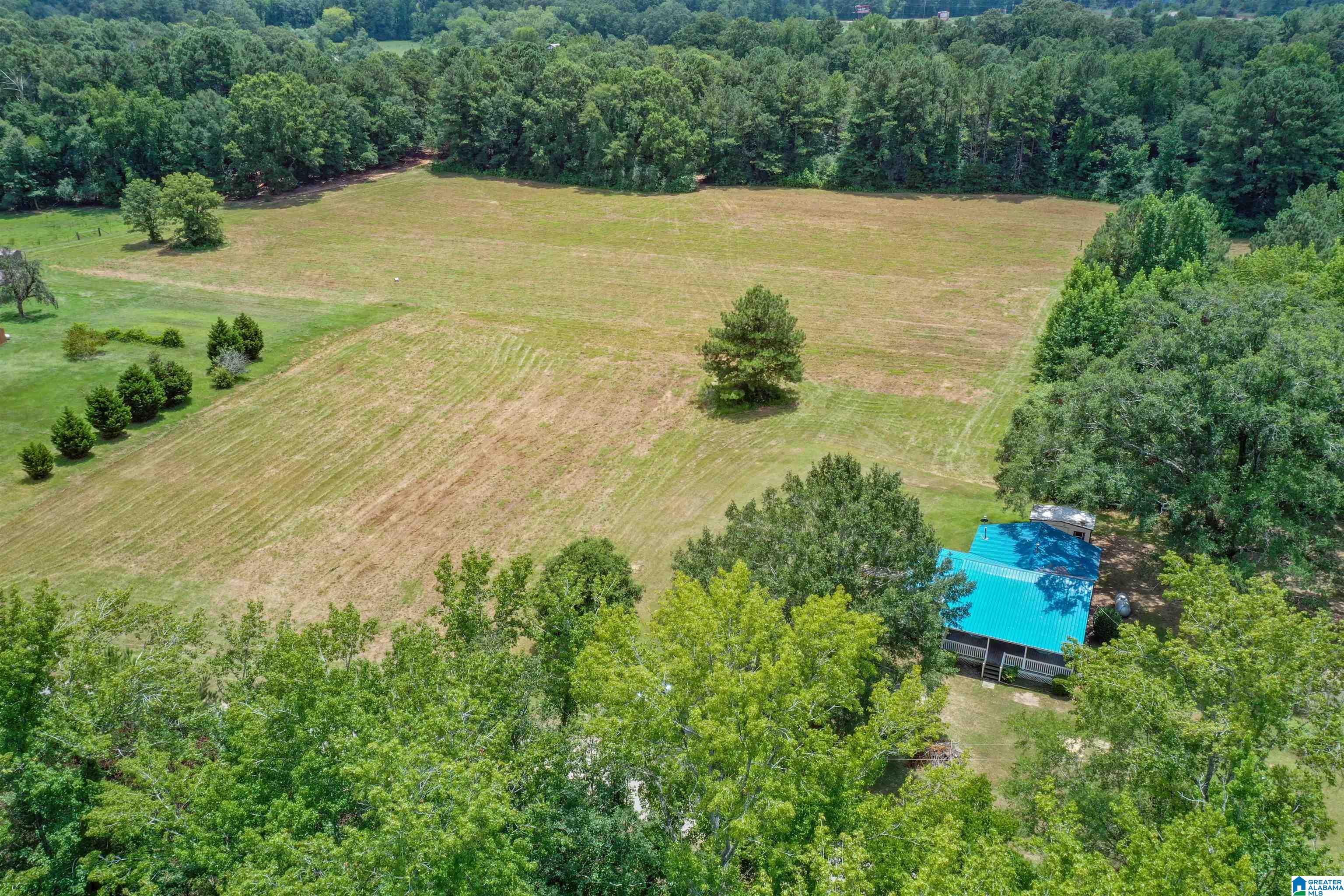 1675 Blue Eye Springs Road Lincoln, AL 35096 - Photo 58 of 60