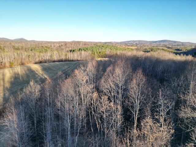 2100 Thompson Ridge Road Ferrum, VA 24088 - Photo 2 of 9 29 acres, Ferrum VA