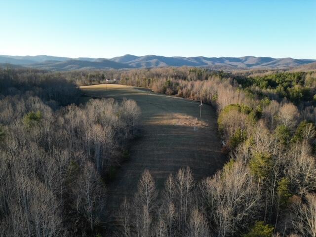 2100 Thompson Ridge Road Ferrum, VA 24088 - Photo 3 of 9 29 acres, Ferrum VA