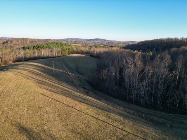 2100 Thompson Ridge Road Ferrum, VA 24088 - Photo 4 of 9 29 acres, Ferrum VA