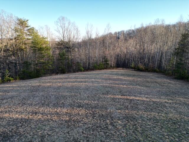2100 Thompson Ridge Road Ferrum, VA 24088 - Photo 7 of 9 29 acres, Ferrum VA