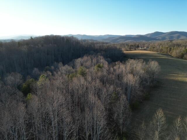 2100 Thompson Ridge Road Ferrum, VA 24088 - Photo 9 of 9 29 acres, Ferrum VA