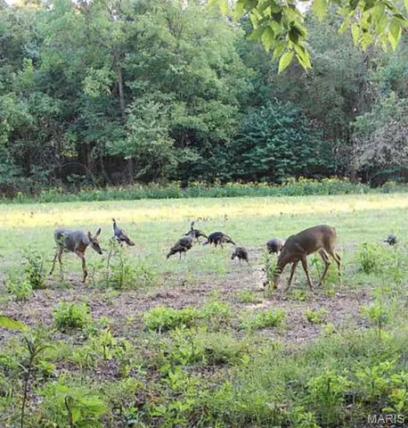 $649,999 | 1310 Tillman Road, Farmington, MO 63640