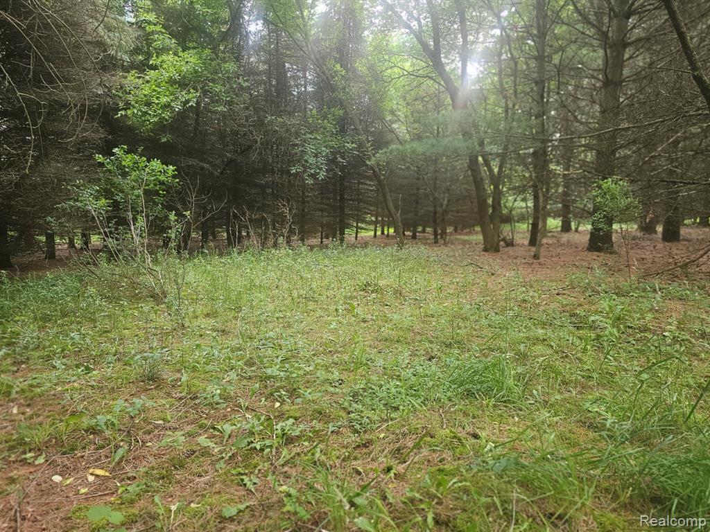 Vl Millville Road Lapeer, MI 48446 - Photo 12 of 15 Gallery Image 12