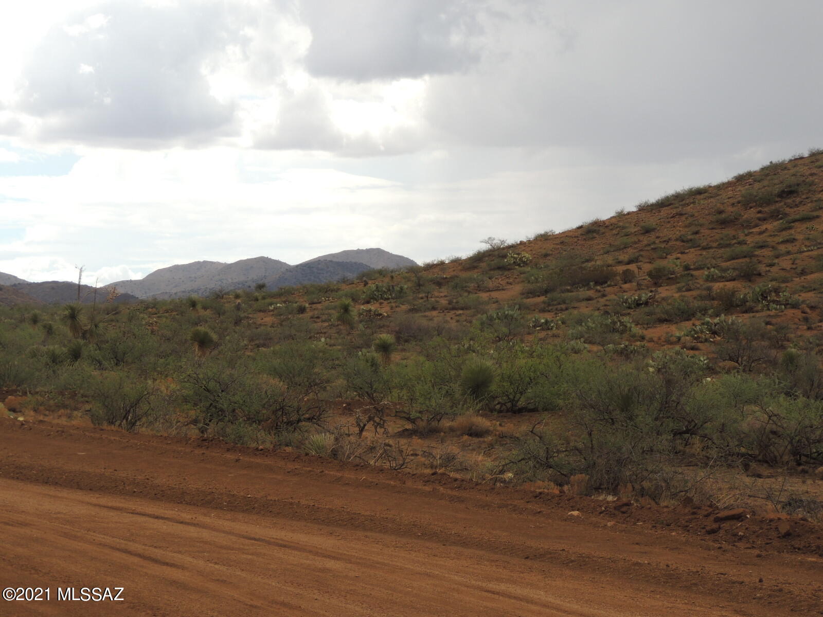 40.82 Acres Mulkins Ranch Road, Unit 11 Bowie, AZ 85605 - Photo 12 of 17