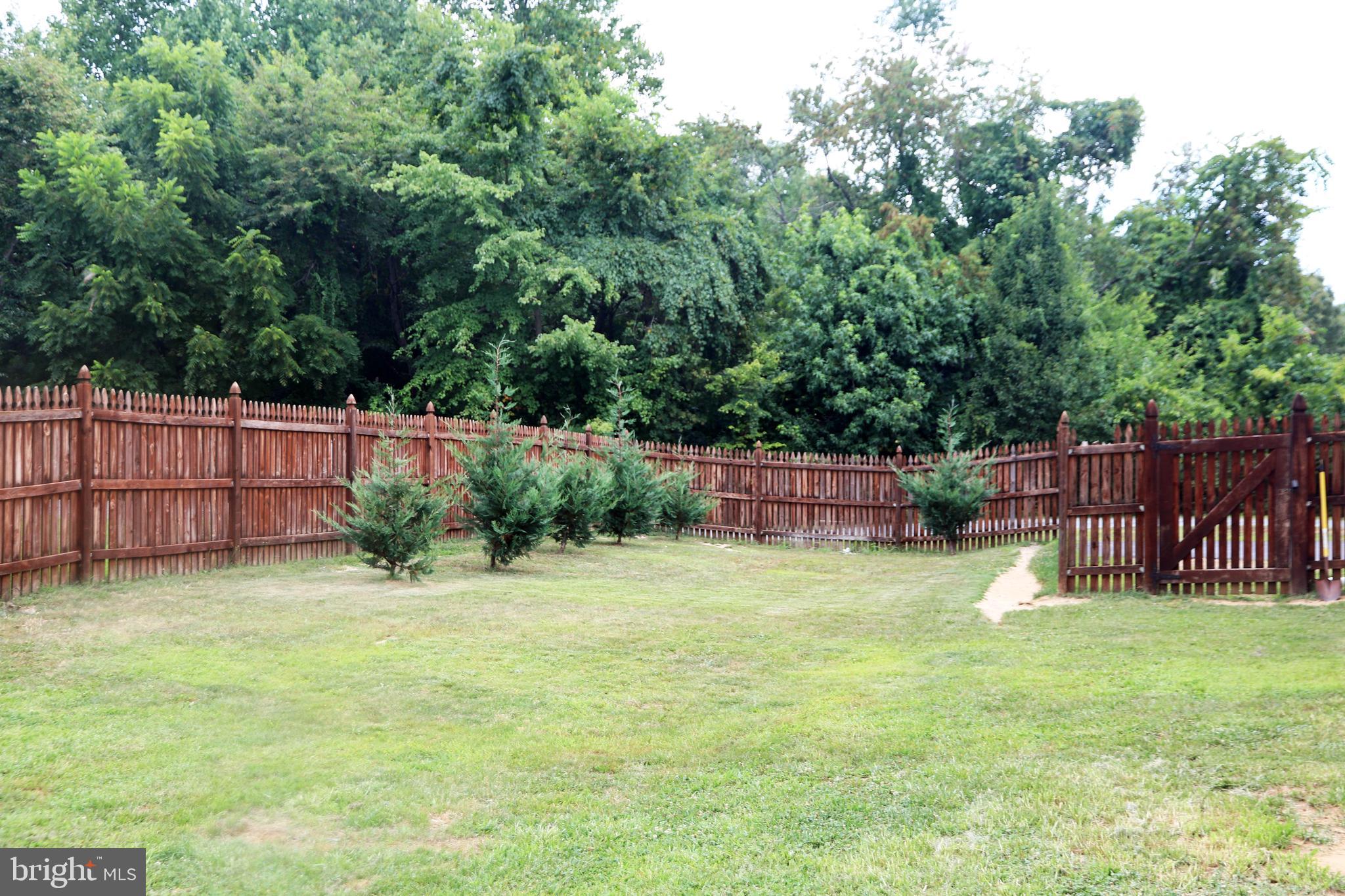 95 Mason Road Prince Frederick, MD 20678 - Photo 37 of 40 Yard