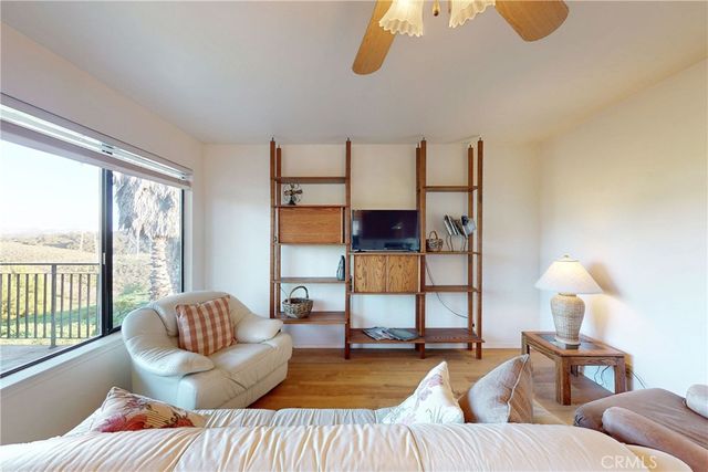 a view of a yard with palm trees