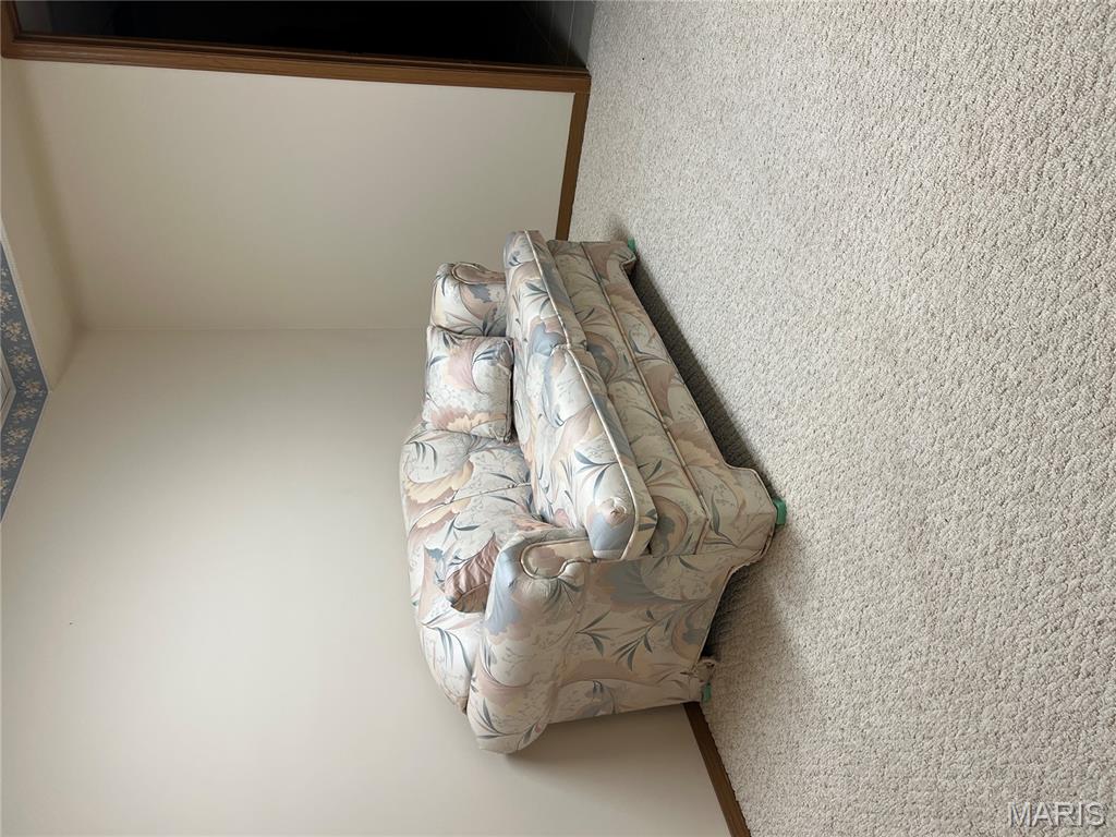 1681 Ridge Road Jackson, MO 63755 - Photo 15 of 16