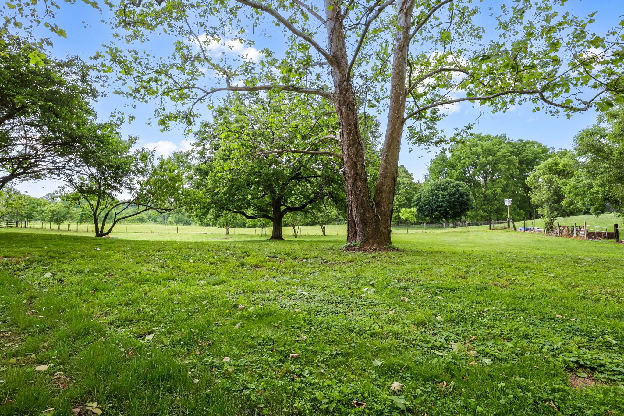3313 Raccoon Valley Road Granville, OH 43023 - Photo 40 of 50