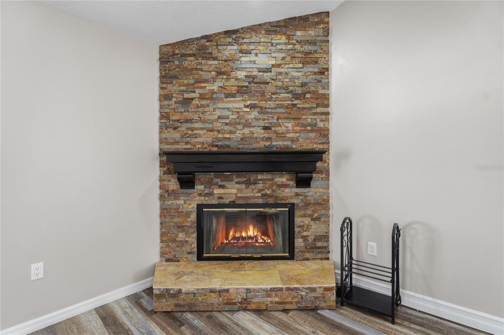 17431 Isbell Lane Odessa, FL 33556 - Photo 17 of 47 a living room with a fireplace