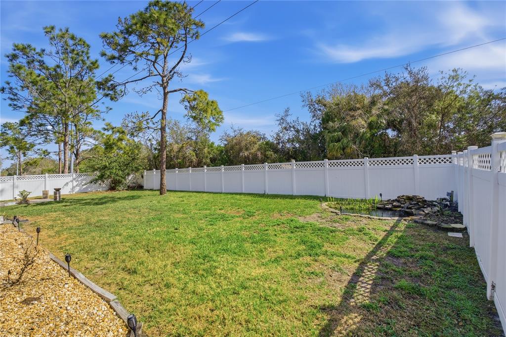 17431 Isbell Lane Odessa, FL 33556 - Photo 42 of 47 a yard with lots of green space