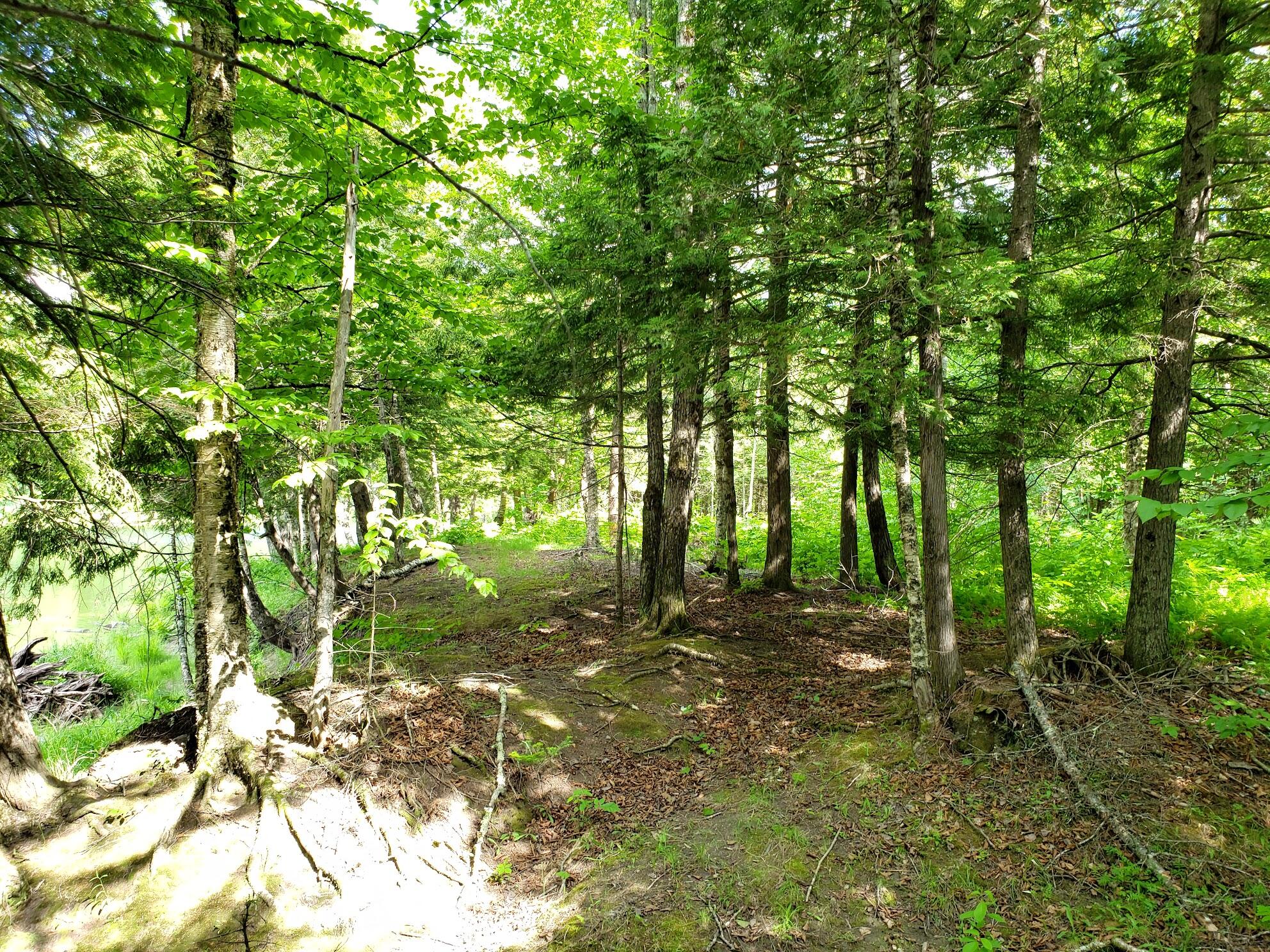 6-8 2nd Street Milo, ME 04463 - Photo 5 of 15 20220614_153849