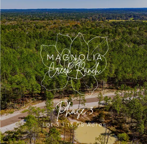 a view of a area with a tree