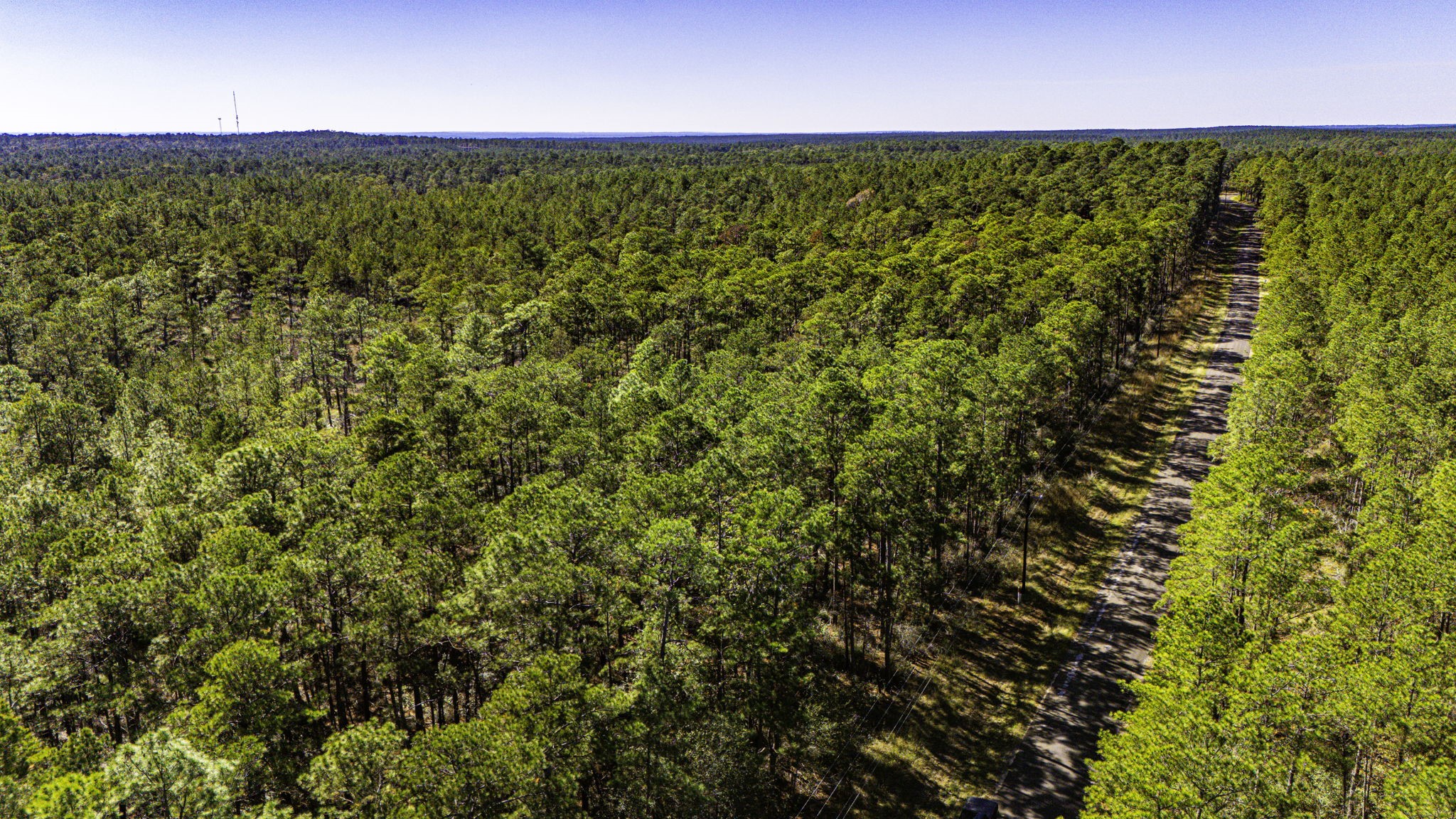 314 Sportsman Retreat Road Onalaska, TX 77360 - Photo 12 of 17 a view of under an umbrella