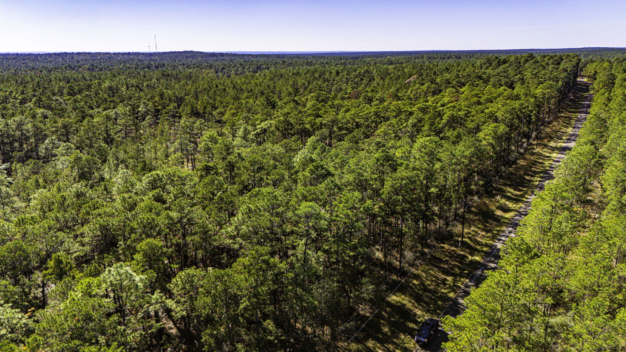314 Sportsman Retreat Road Onalaska, TX 77360 - Photo 13 of 17 a view of a field with an outdoor space