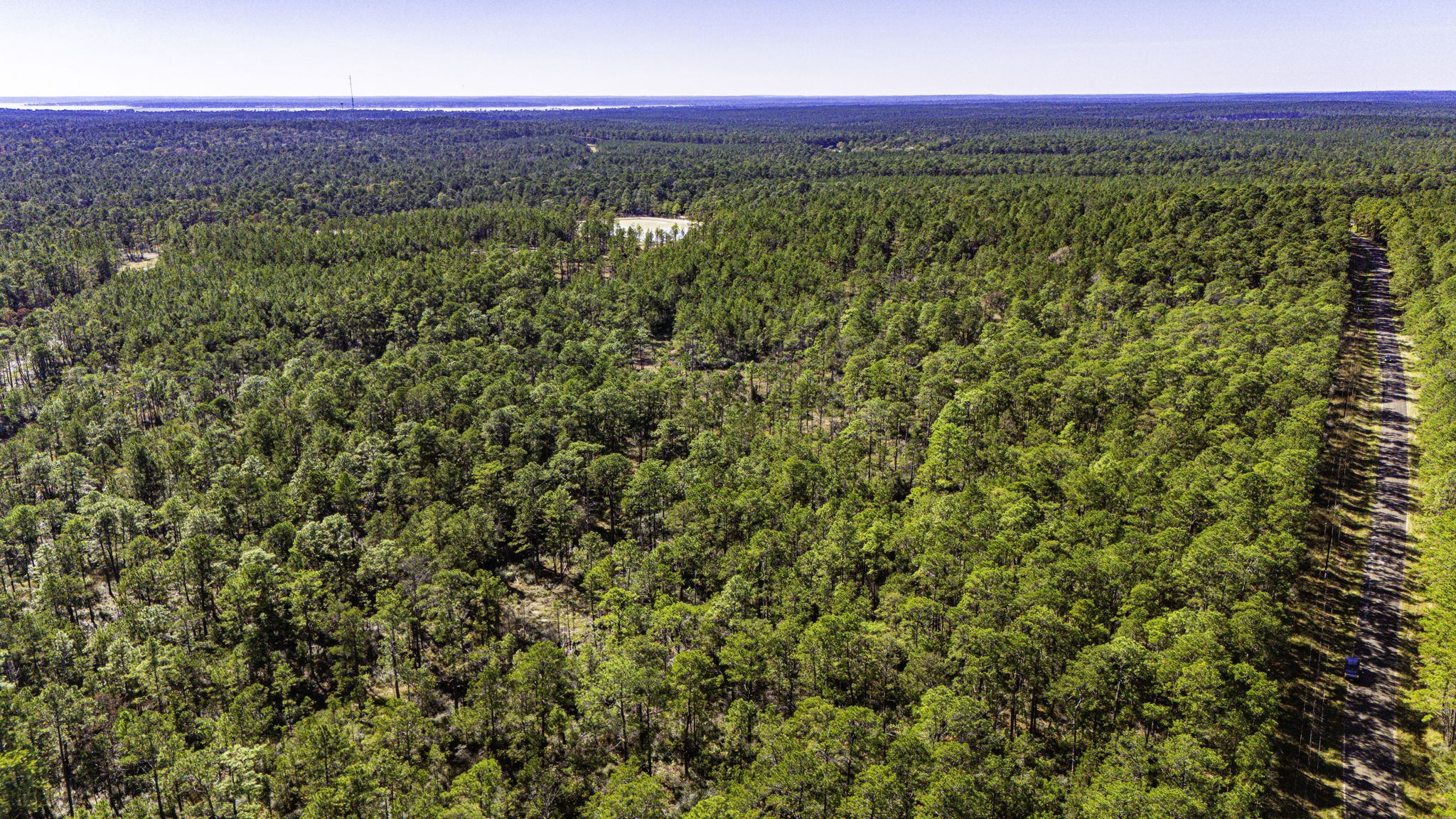 314 Sportsman Retreat Road Onalaska, TX 77360 - Photo 14 of 17 a view of a city with lush green forest