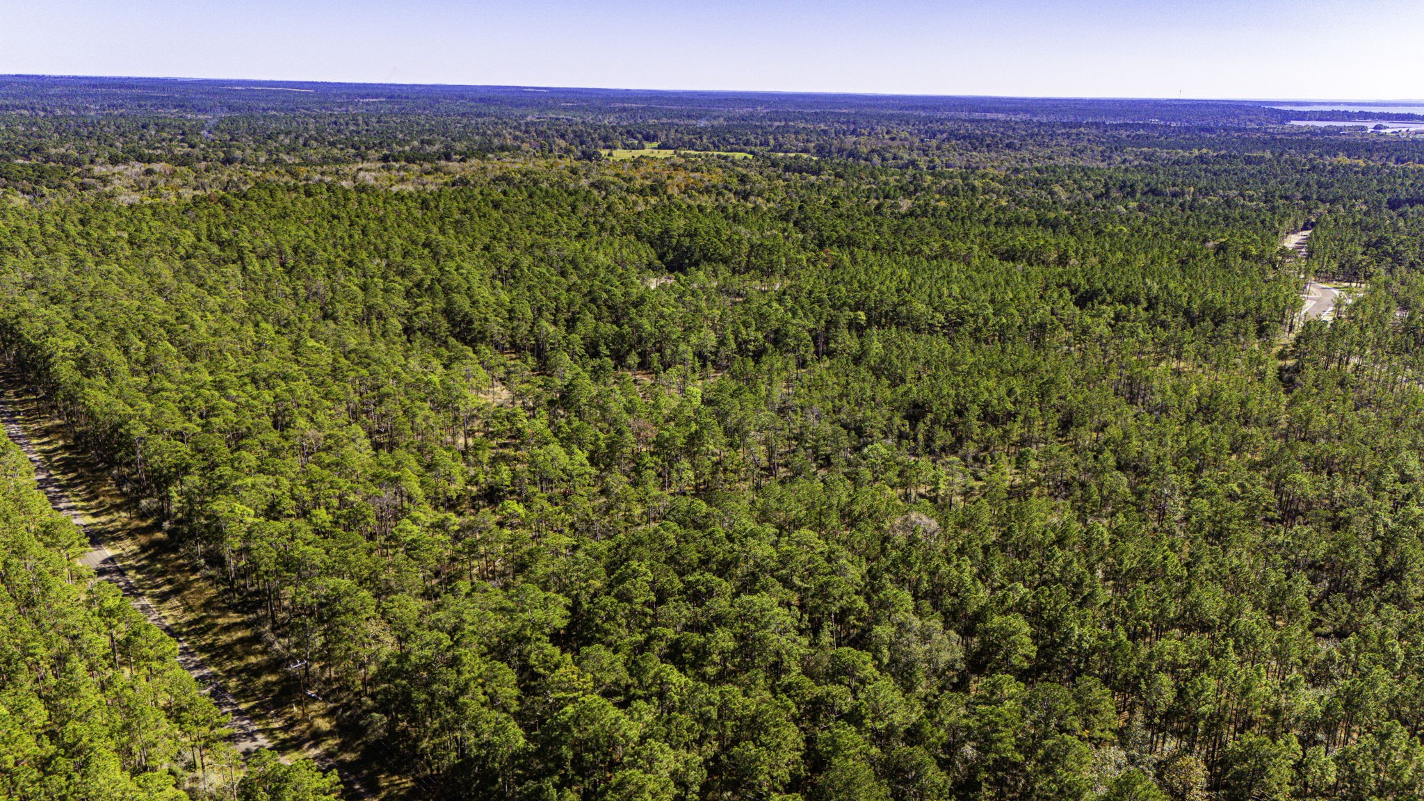314 Sportsman Retreat Road Onalaska, TX 77360 - Photo 3 of 17 a view of a yard with an outdoor space