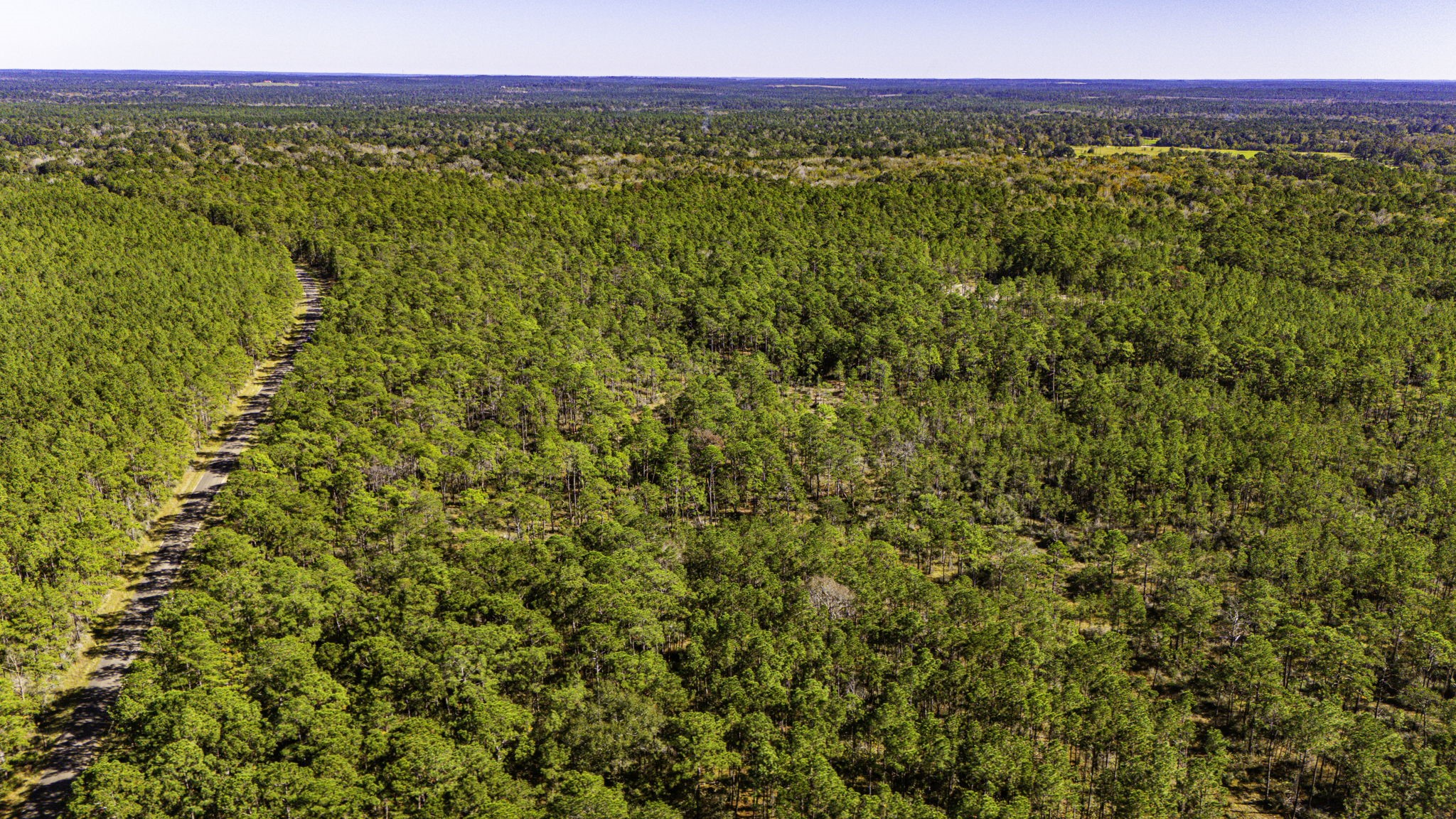 314 Sportsman Retreat Road Onalaska, TX 77360 - Photo 5 of 17