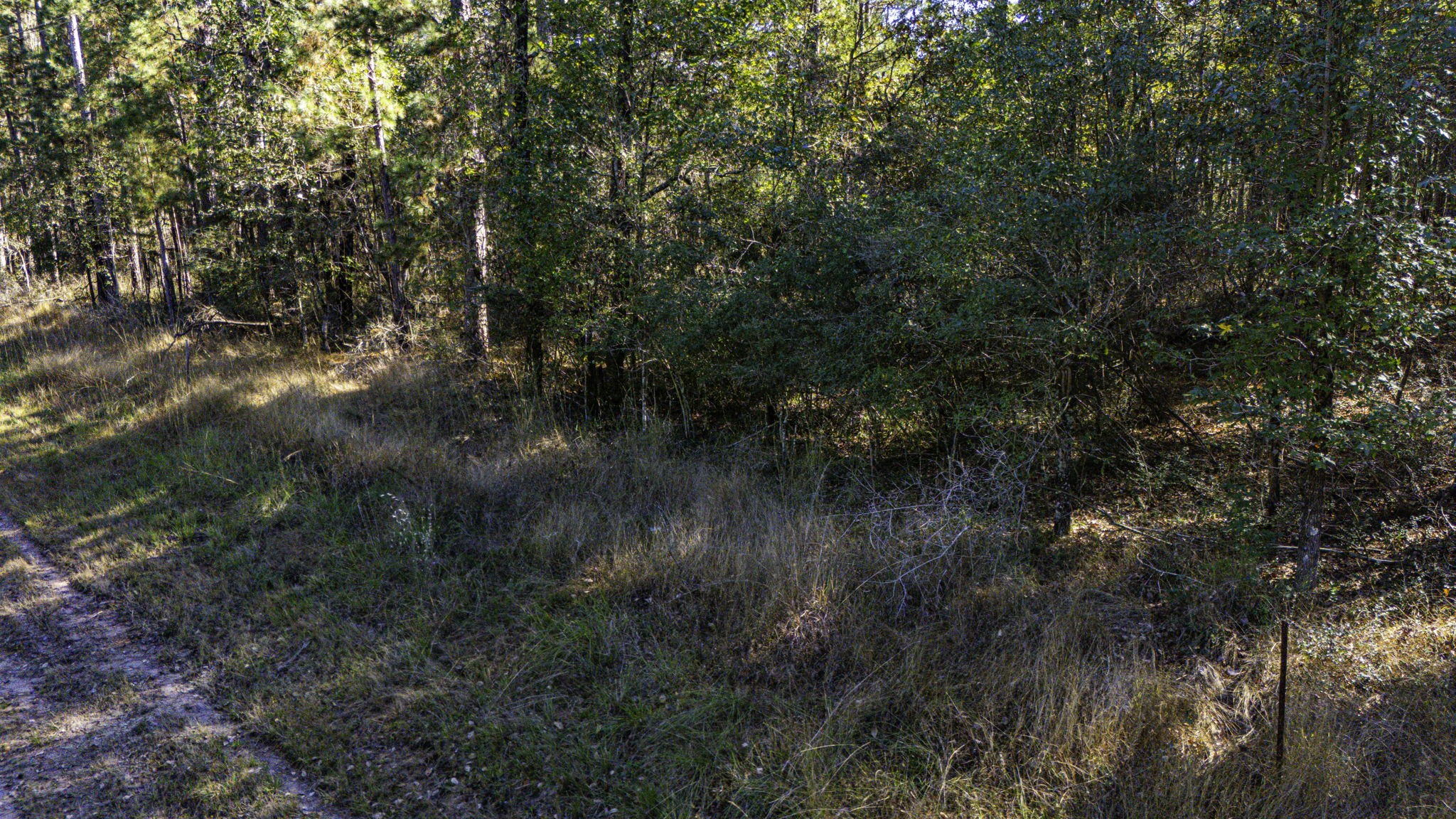 314 Sportsman Retreat Road Onalaska, TX 77360 - Photo 6 of 17 a view of a lake with top of house