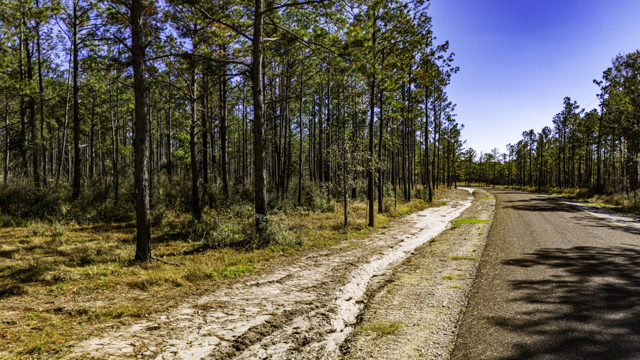314 Sportsman Retreat Road Onalaska, TX 77360 - Photo 10 of 17 a view of swimming pool with an outdoor space