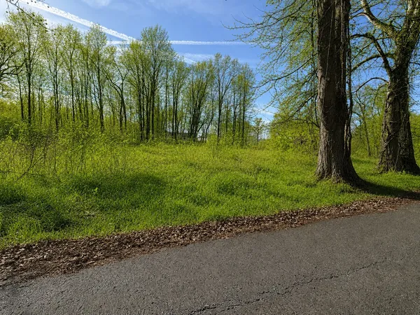 a view of a park