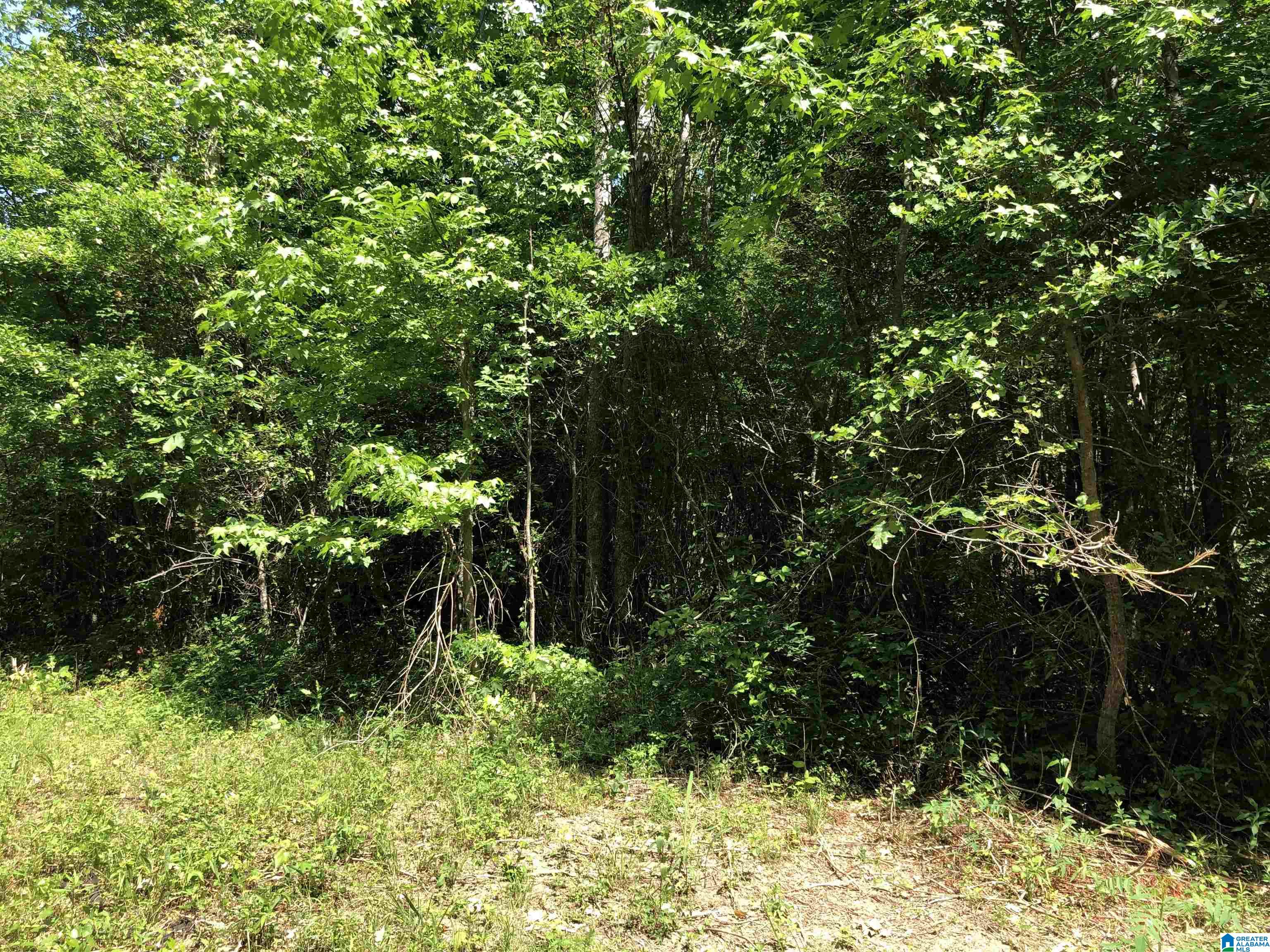 0 Peeks Hill Road, Unit 4 Ohatchee, AL 36271 - Photo 6 of 9