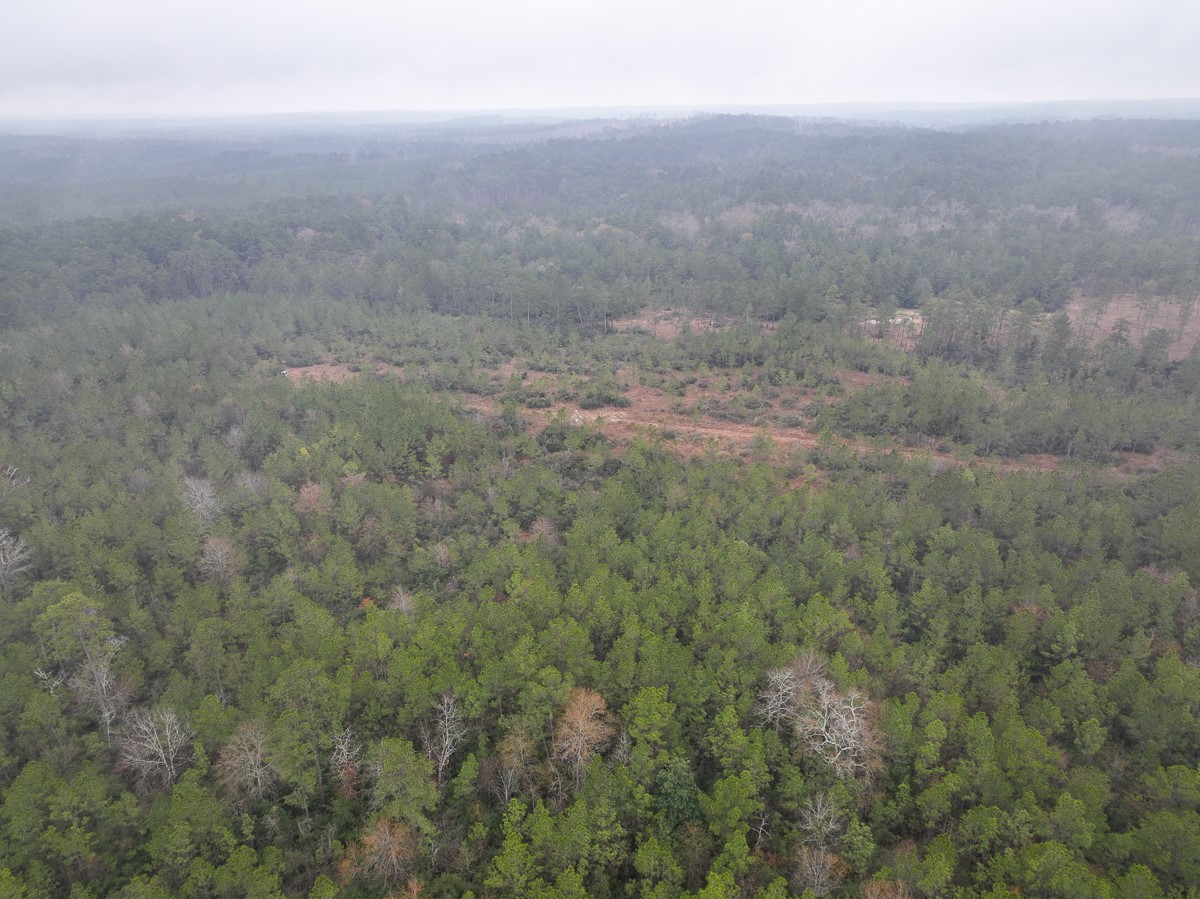 1 Rec Road 255 Colmesneil, TX 75938 - Photo 15 of 19