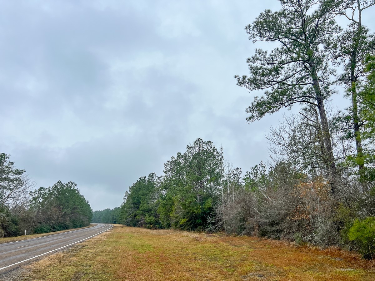 1 Rec Road 255 Colmesneil, TX 75938 - Photo 3 of 19