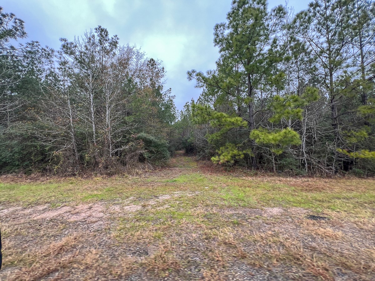 1 Rec Road 255 Colmesneil, TX 75938 - Photo 9 of 19