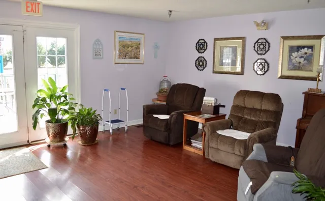 a living room with furniture and a potted plant