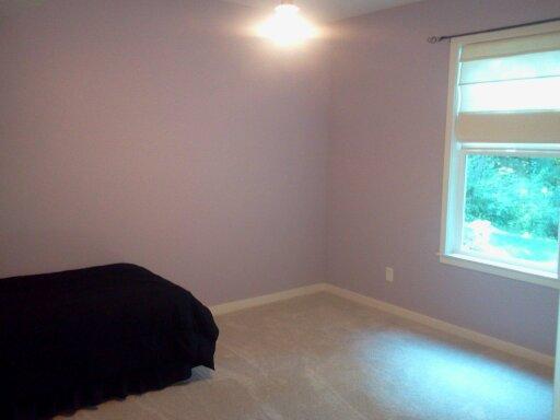 921 Hummingbird Lane Belding, MI 48809 - Photo 14 of 18 Additional Photo