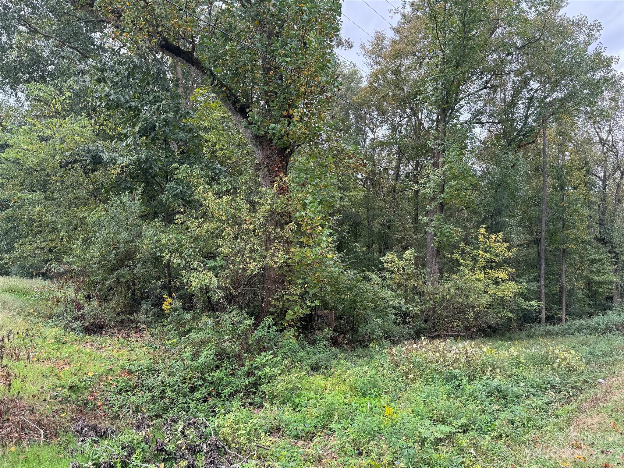 0 Sincerity Road Monroe, NC 28110 - Photo 3 of 7 a view of a lush green forest