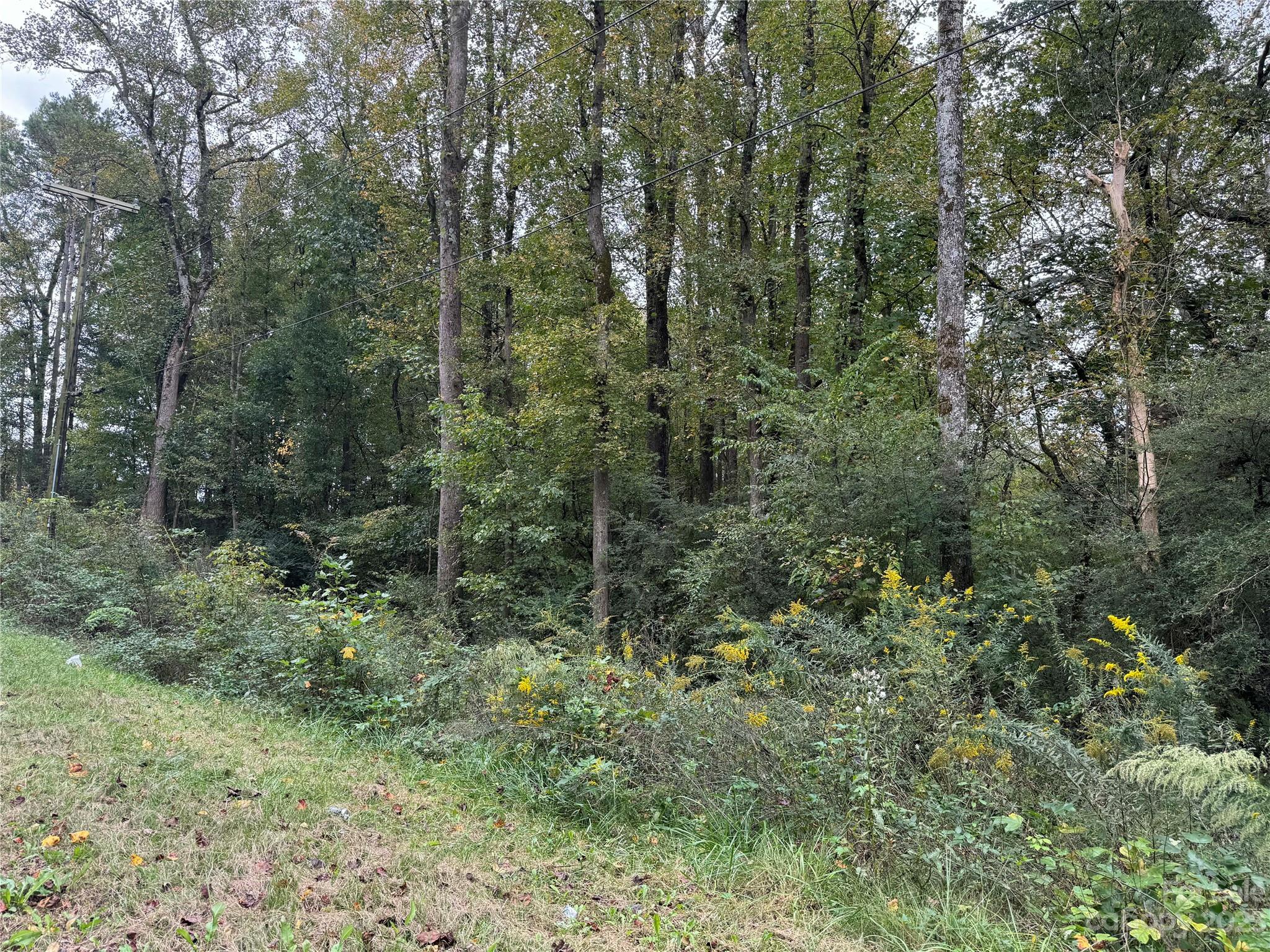 0 Sincerity Road Monroe, NC 28110 - Photo 4 of 7 a view of a forest with trees in the background