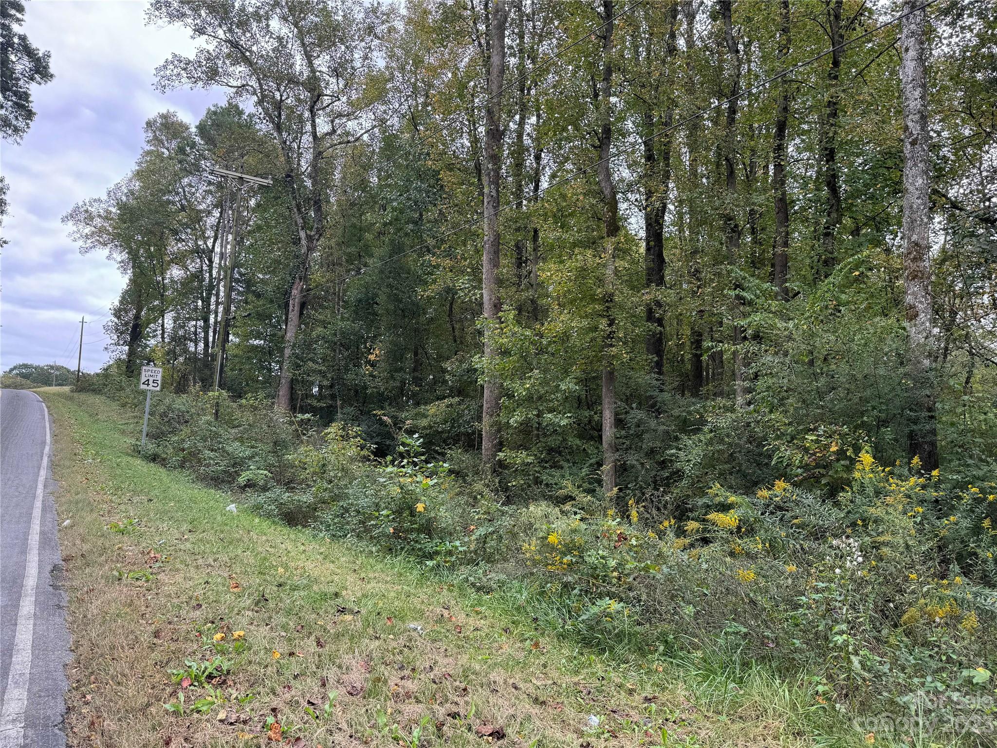 0 Sincerity Road Monroe, NC 28110 - Photo 6 of 7 a view of a forest with trees in the background