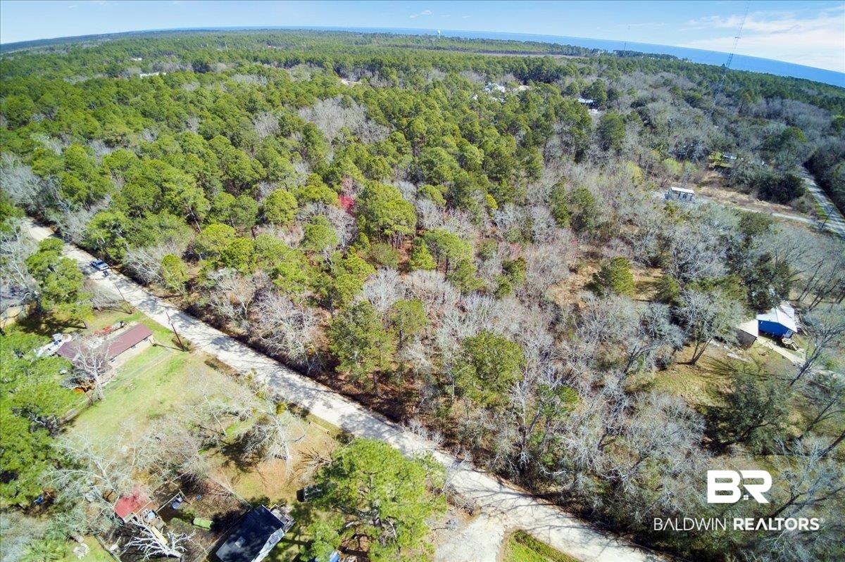 16045 Williams Street Coden, AL 36523 - Photo 12 of 15 Aerial view featuring a forest view