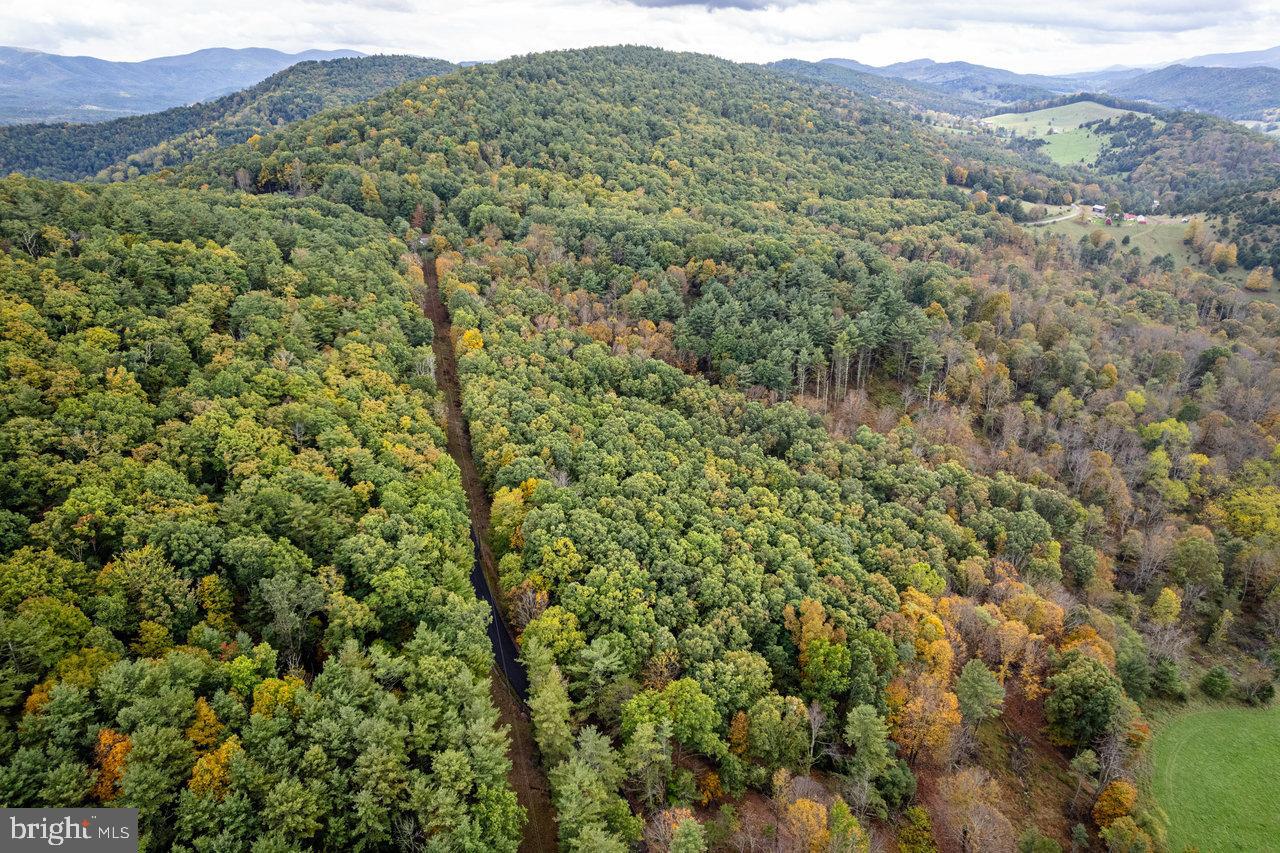 0 Dry Run Road Sugar Grove, WV 26815 - Photo 24 of 34