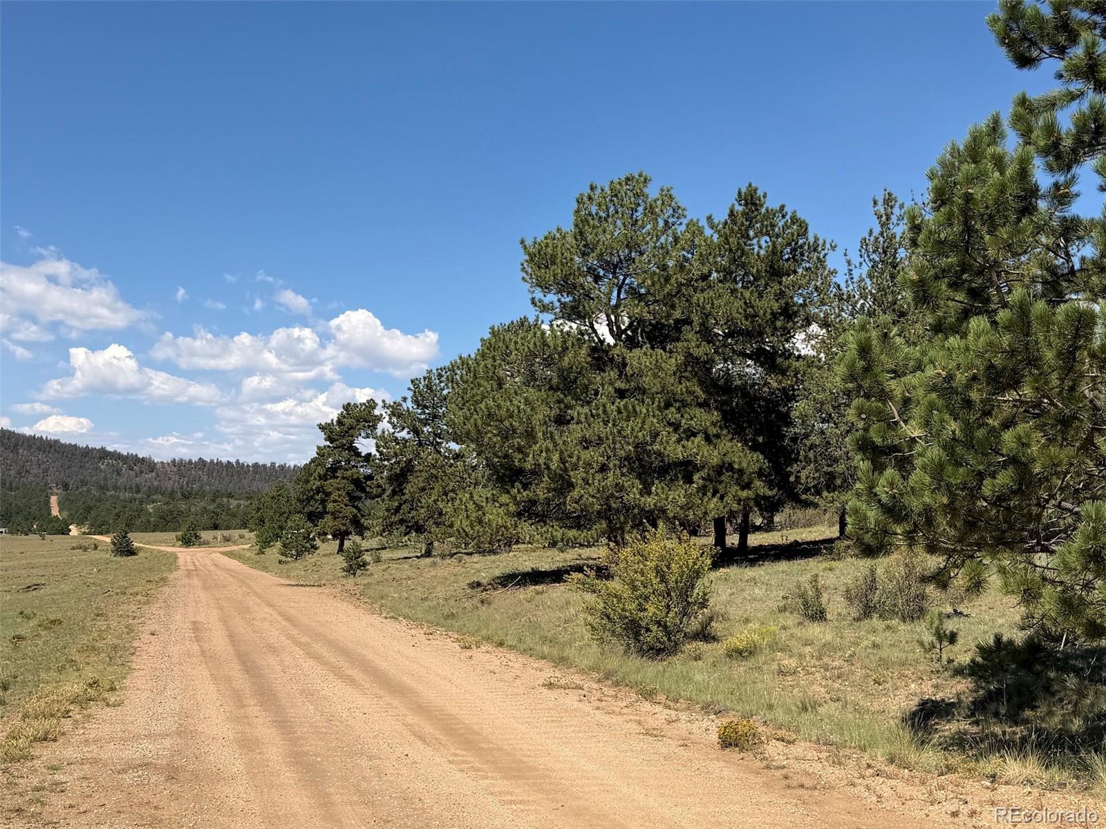 1199 Jefferson Road Hartsel, CO 80449 - Photo 29 of 31 Gallery Image 29