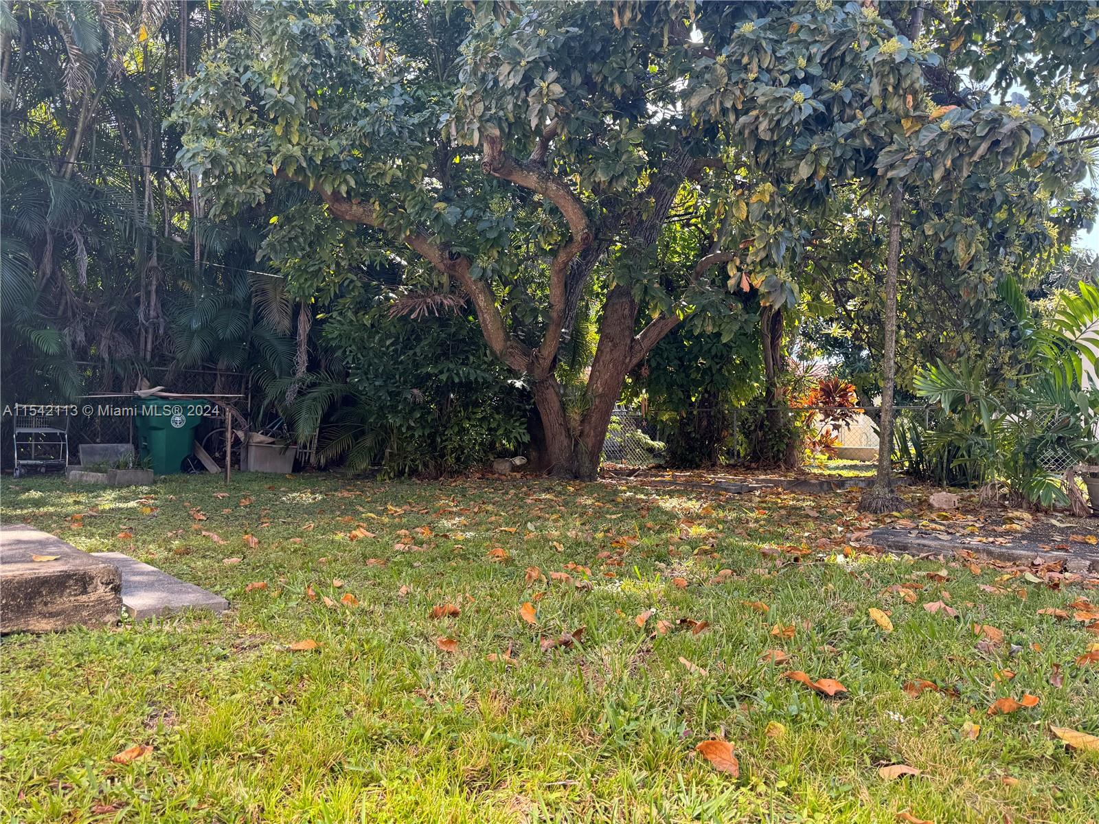 1854 Southwest 17th Street Miami, FL 33145 - Photo 13 of 13 a view of a yard with plants and trees