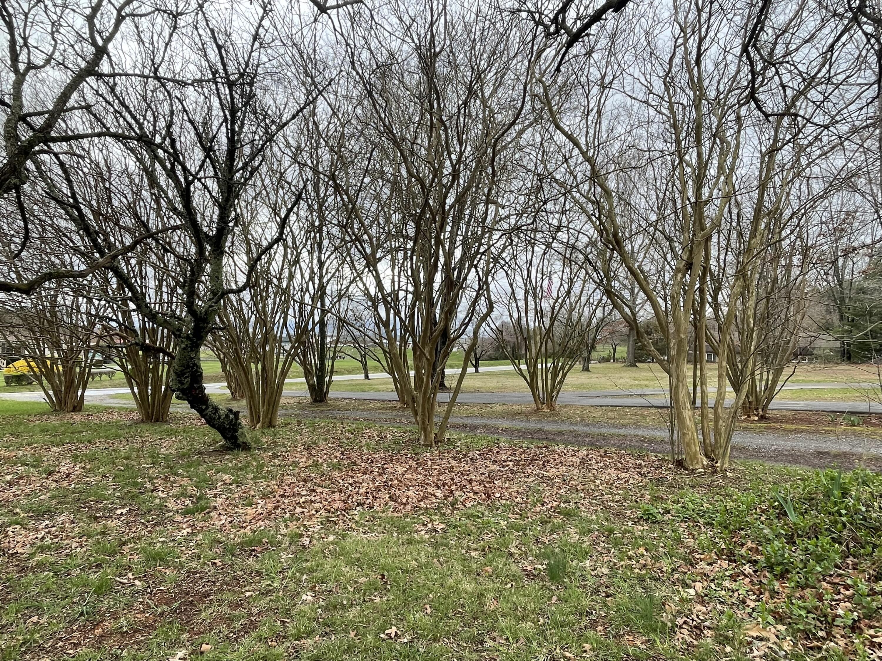 1296 Centerville Road Bedford, VA 24523 - Photo 24 of 37 Photo Mar 27 2024, 4 58 23 PM