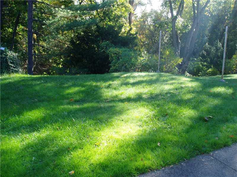 2142 Harbor Street Pittsburgh, PA 15212 - Photo 16 of 17 Yard/Garden.