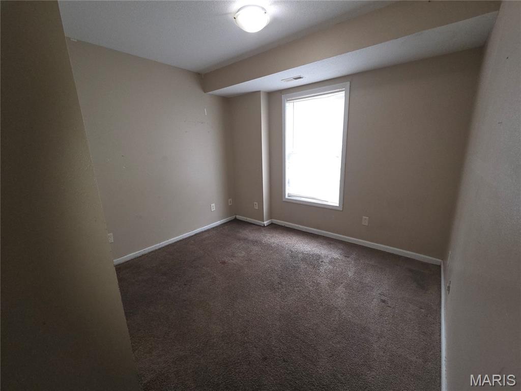 113 Willow Ridge Cape Girardeau, MO 63701 - Photo 19 of 21