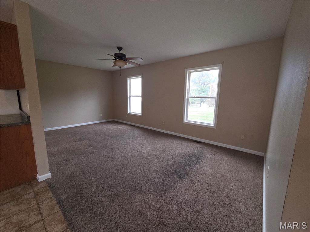 113 Willow Ridge Cape Girardeau, MO 63701 - Photo 5 of 21