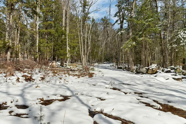 $1,299,000 | 0 Basin Road, Mirror Lake, NH 03853